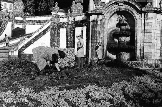 Gardeners in Bom Jesus do Monte, Braga (Portugal)