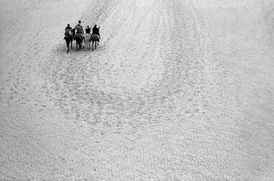 Donkeys ride on the beach, Blackpool (UK)