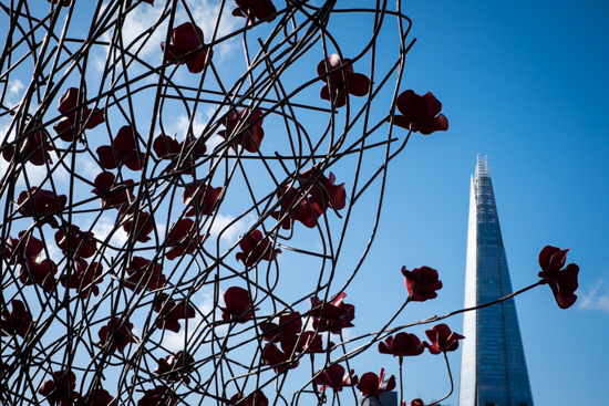 Poppies and The Shard, London