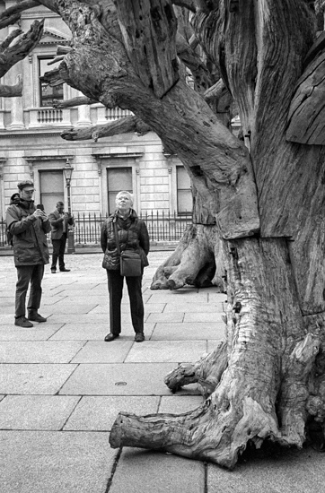 Ai Weiwei @ Royal Academy of Arts, London