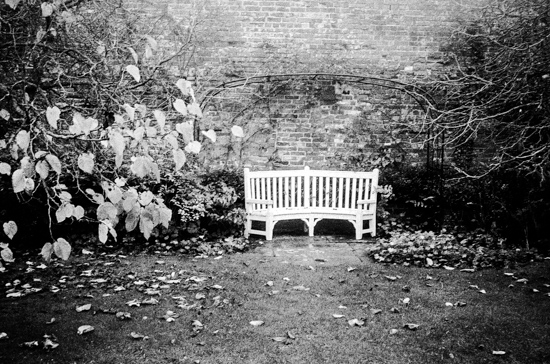 Lonely Bench at Berrington Hall, Leominster (UK)