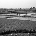 2014_02_21