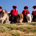 Tourist attraction, Cusco (Peru)